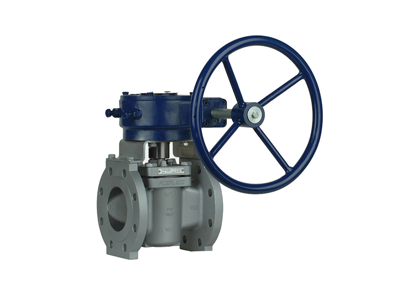 Plug Valve